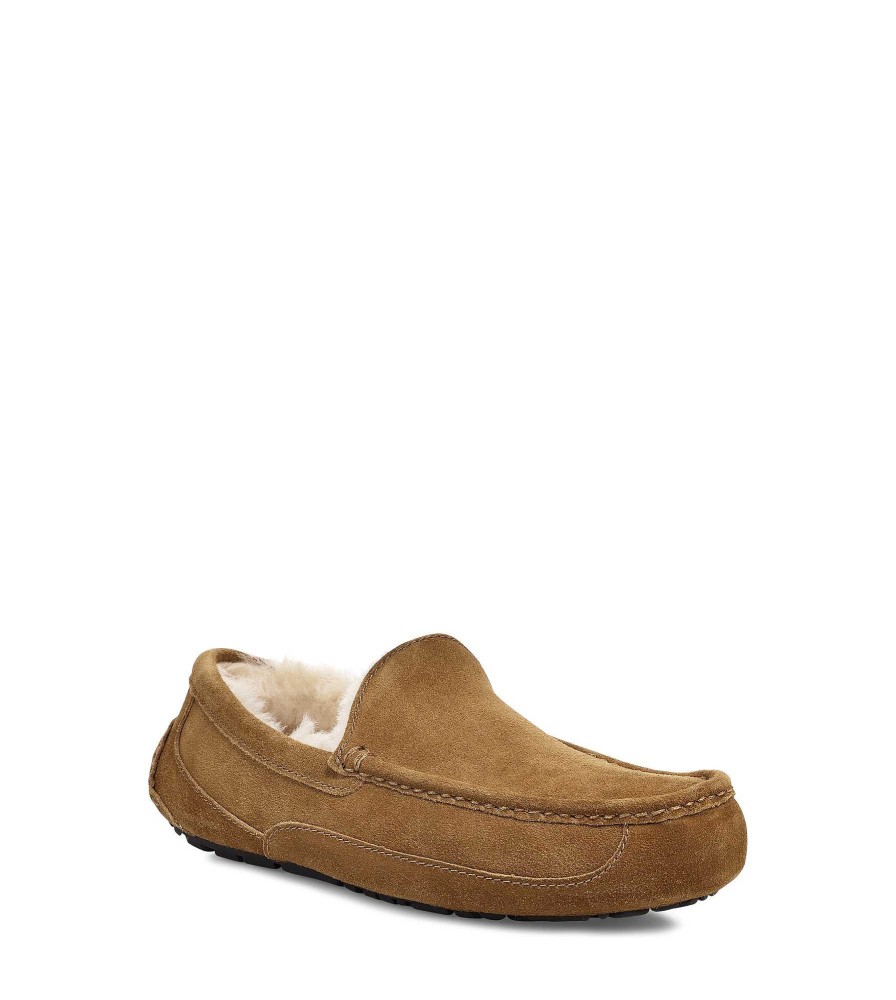 Homme UGG | Ascot châtaigne