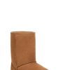 Homme UGG Bottes Classiques | Short classique, Ugg châtaigne